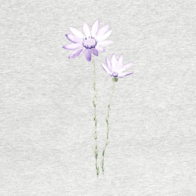 purple exeranthemum flowers watercolor by colorandcolor
